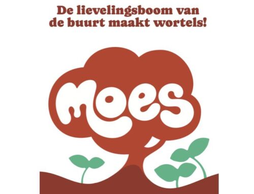 De lievelingsboom van de buurt maakt wortels!